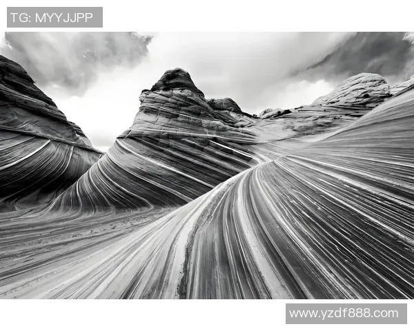 亚当斯的传奇人生与影响力探讨：从个人成就到社会变革的深远影响